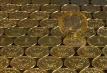 Правительство выделит 50 миллиардов на реконструкцию культурных объектов и расселение «аварийки»